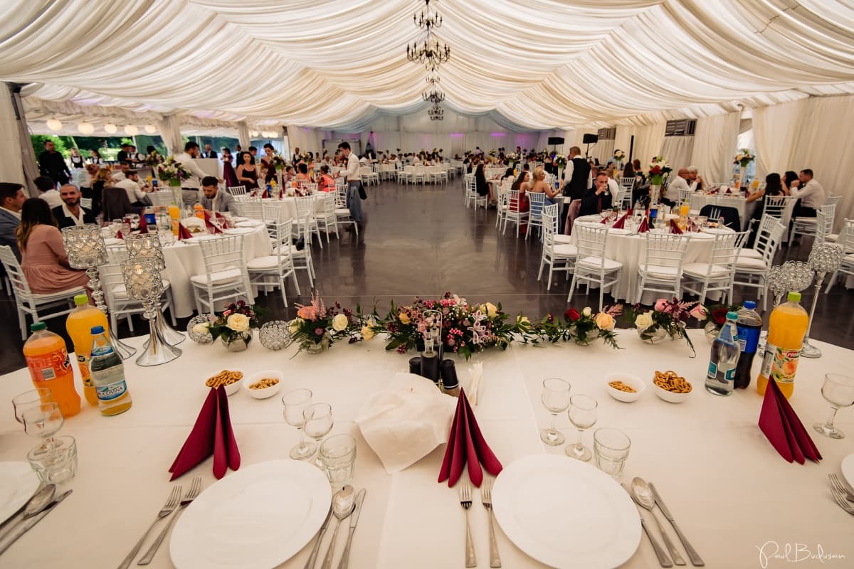 Fotografie de Paul Budusan Fotografie / Videografie de Nunta la Vila Franka