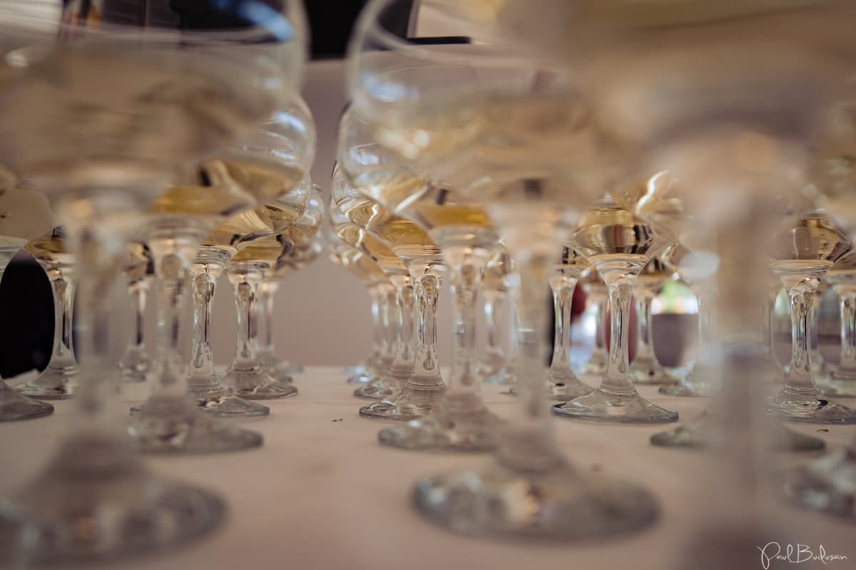 Fotografie de Paul Budusan Fotografie / Videografie de Nunta la Vila Franka