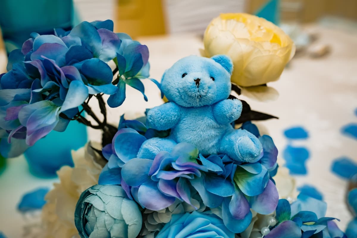 Fotografie de Slagian Peiovici la Hotel Caras