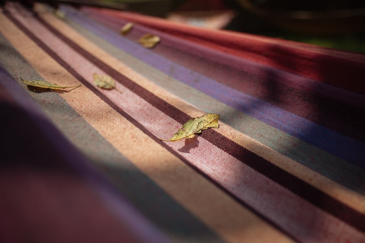 Fotografie de Adi Hadade  la The Village