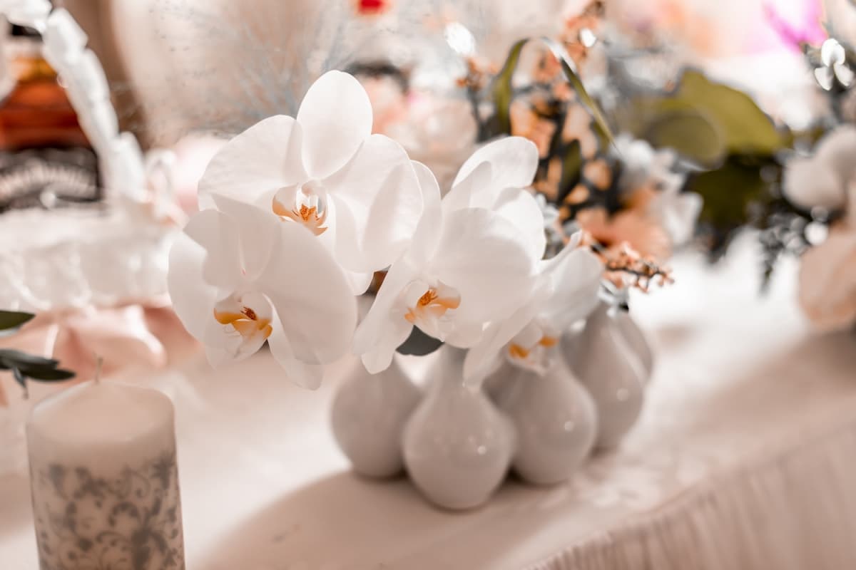 Fotografie de Triff Studio la Restaurant Crystal