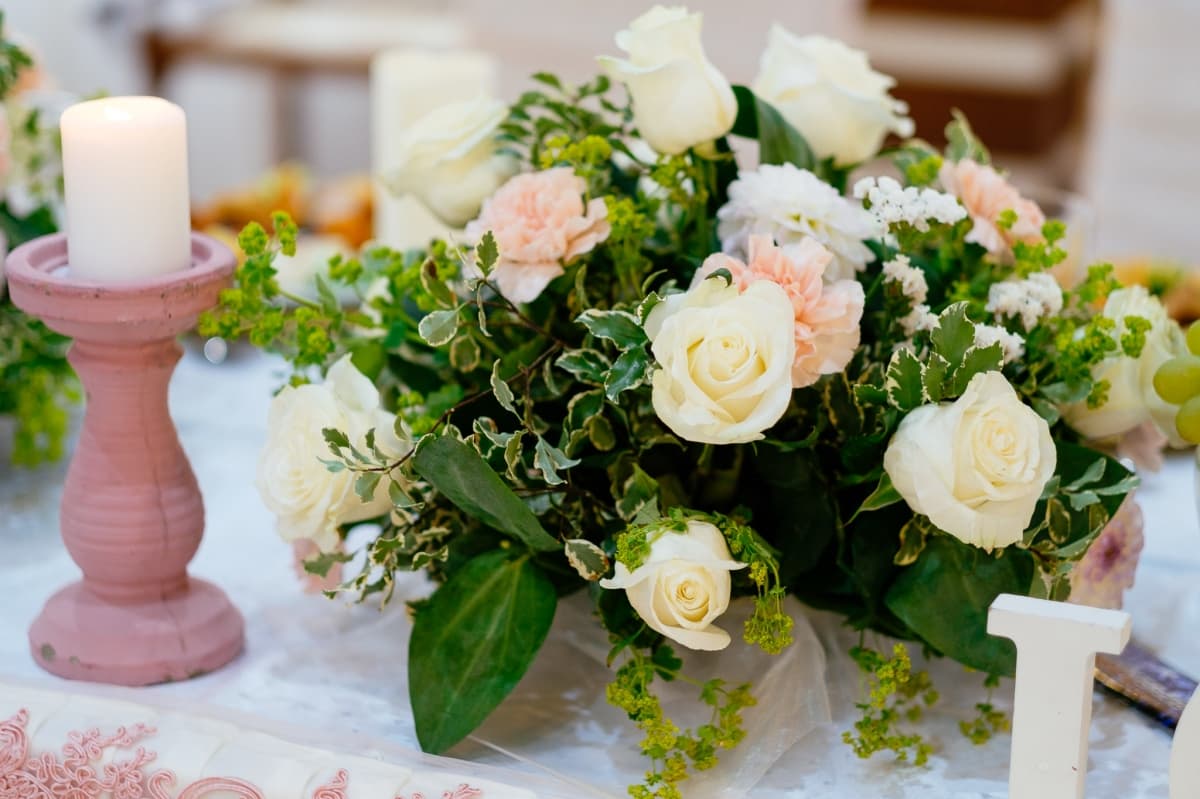 Fotografie de Vision Photography By Geo Dolofan la Seneca