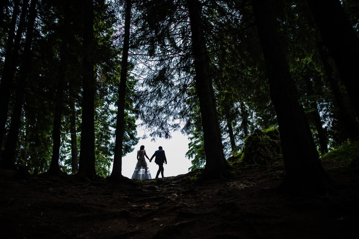 Fotografie de Sebastian Purice la Pensiunea Bio Valeputna