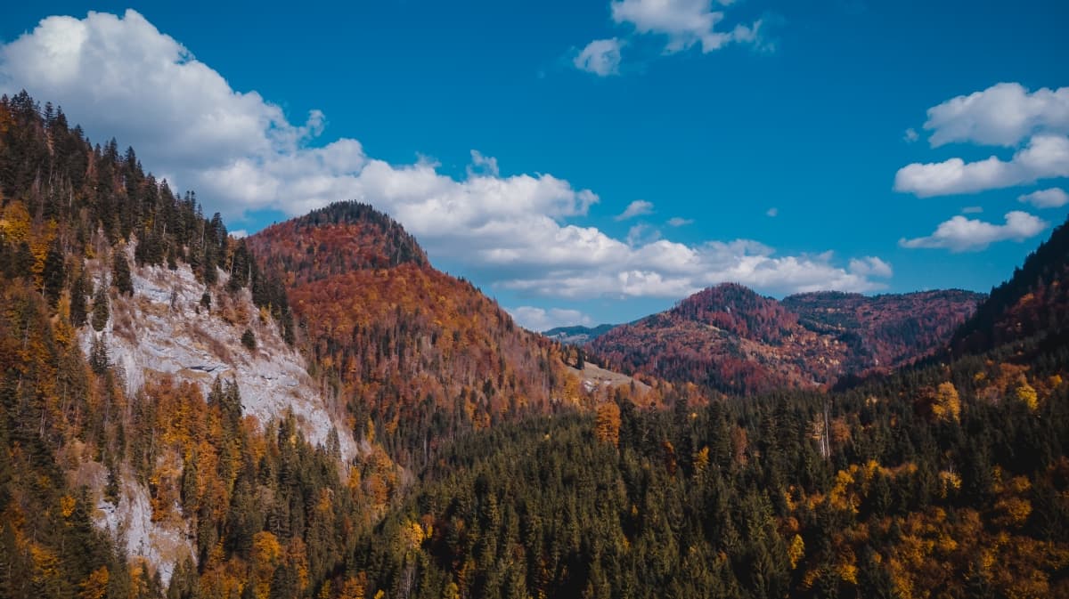 Fotografie de Tudose Alex ( Fotograf &amp; Videograf ) la Parcul Natural Apuseni