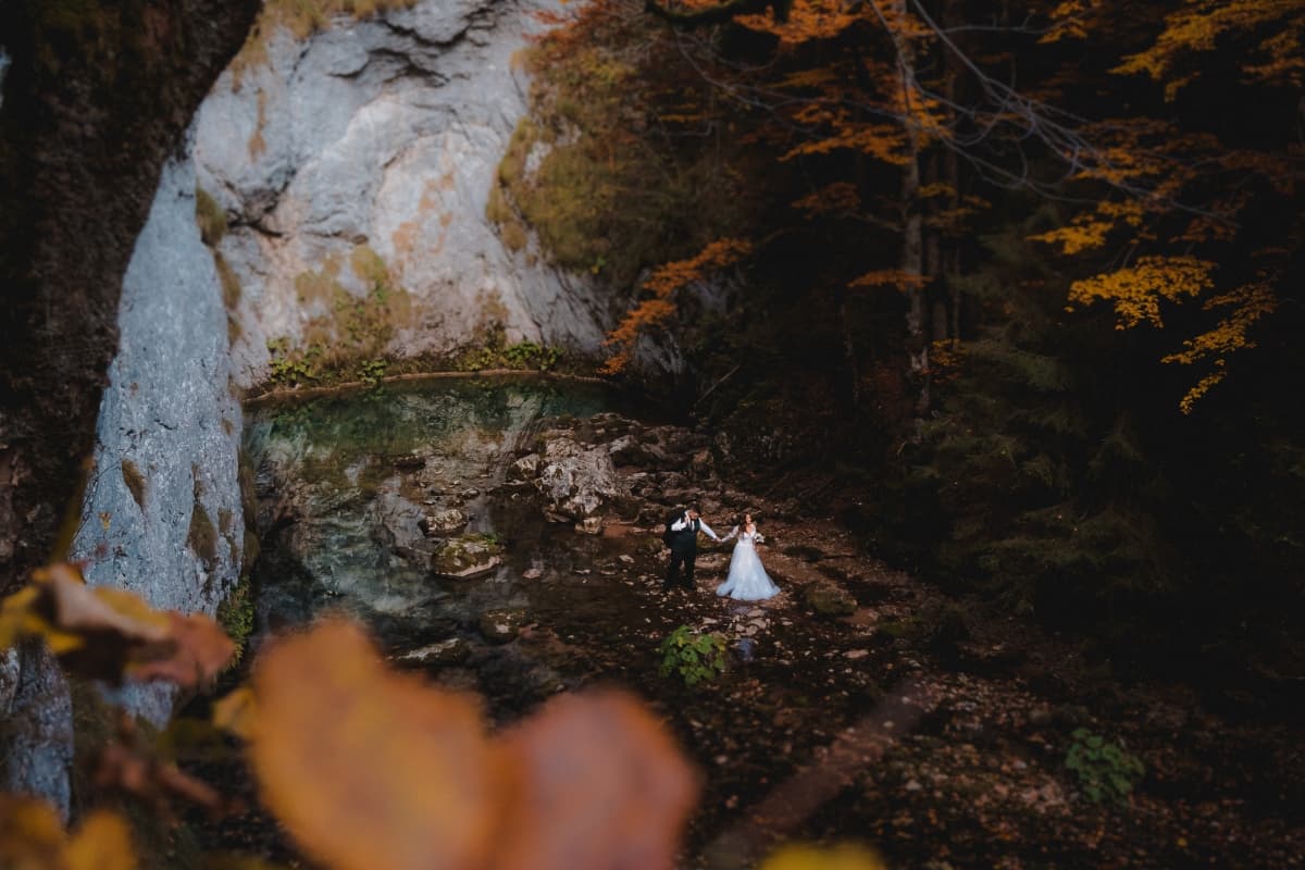 Fotografie de Tudose Alex ( Fotograf &amp; Videograf ) la Parcul Natural Apuseni