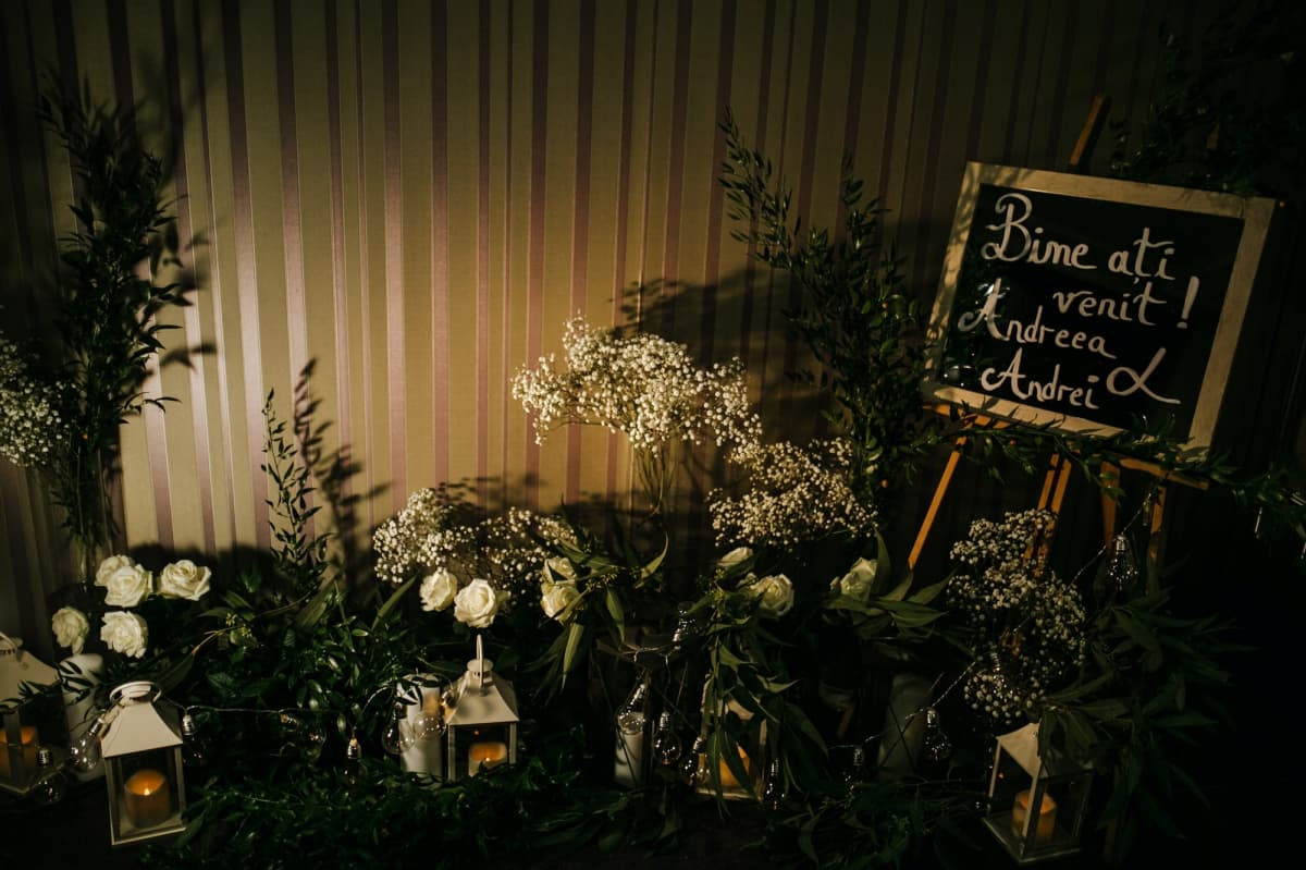 Fotografie de Teoria Zambetului la Restaurant Zorile