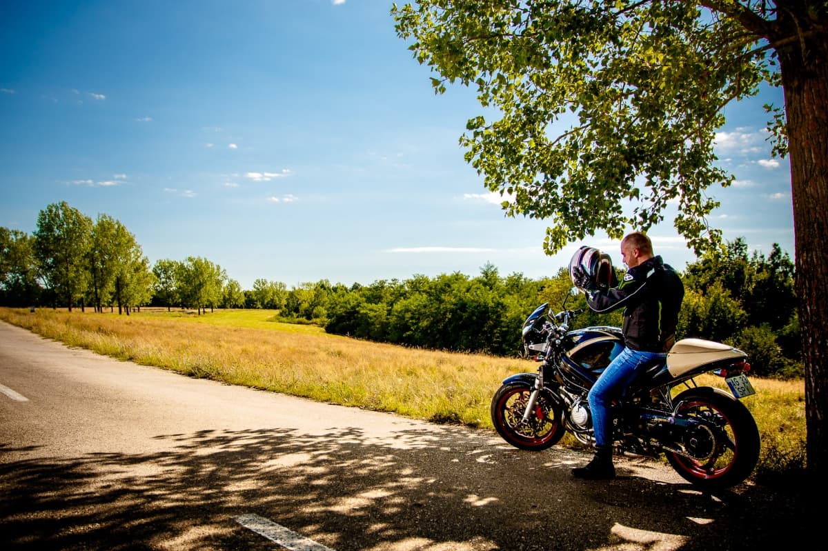 Fotografie de Vision Photography By Geo Dolofan la Padurea Trivale