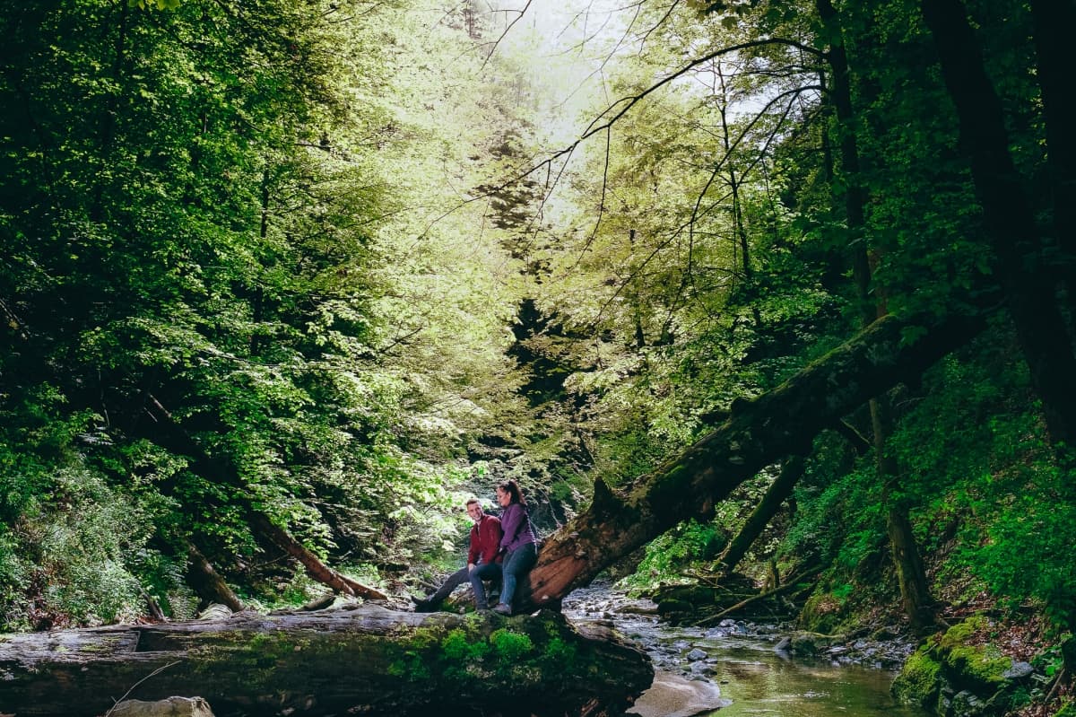 Fotografie de Vision Photography By Geo Dolofan la Valea lui Stan