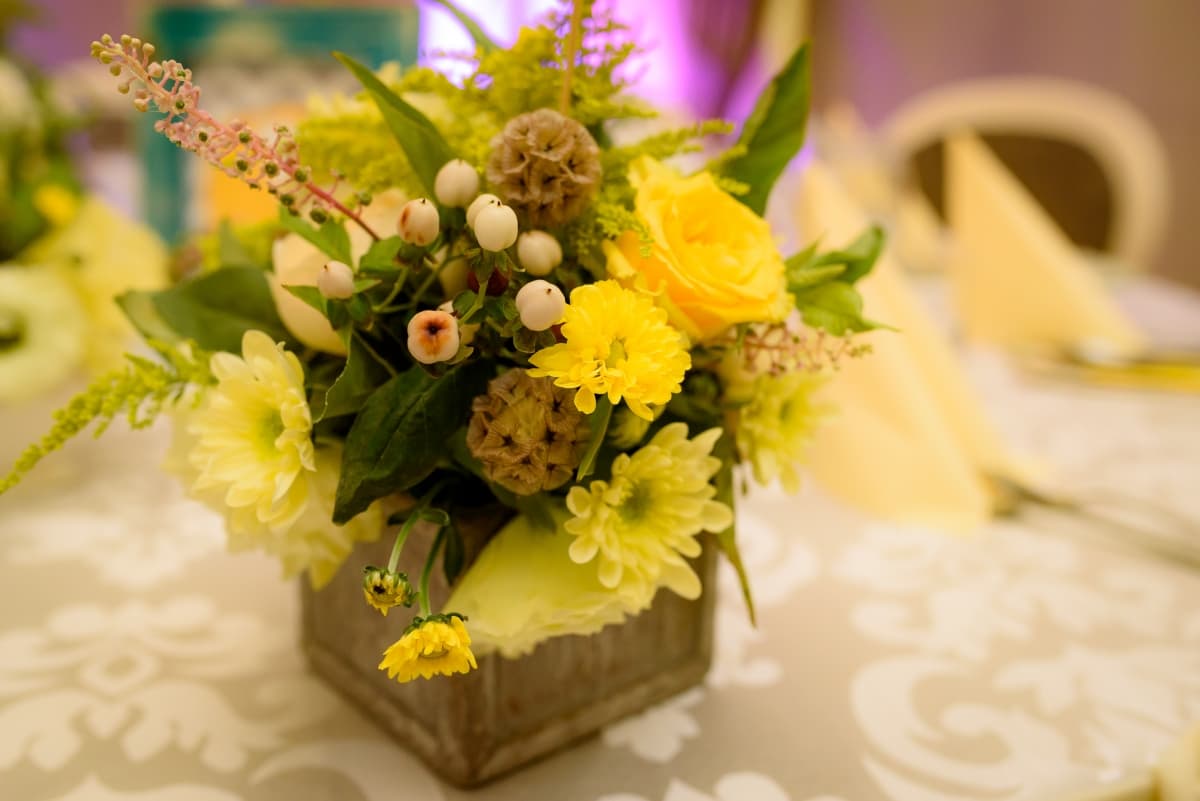 Fotografie de Nelutu Rosu la Restaurant Subcetate 