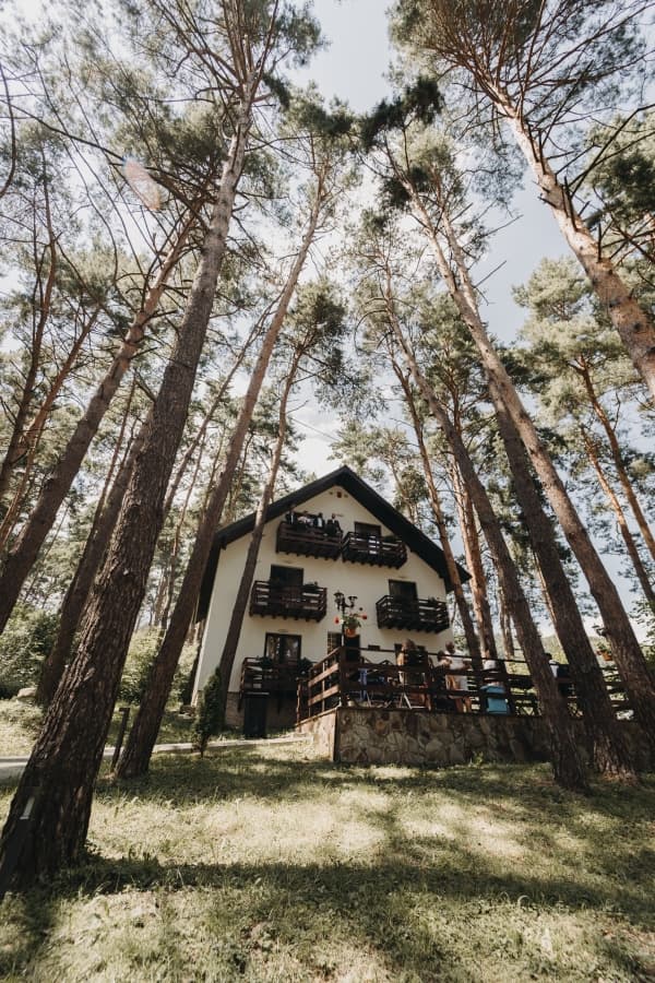 Fotografie de HBD Media la Parcul cu Pini