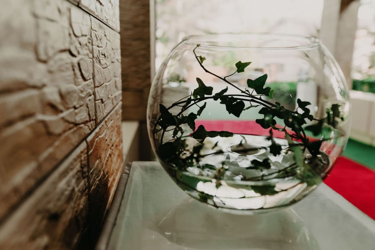 Fotografie de Lights and Tales la Classic Ballroom 