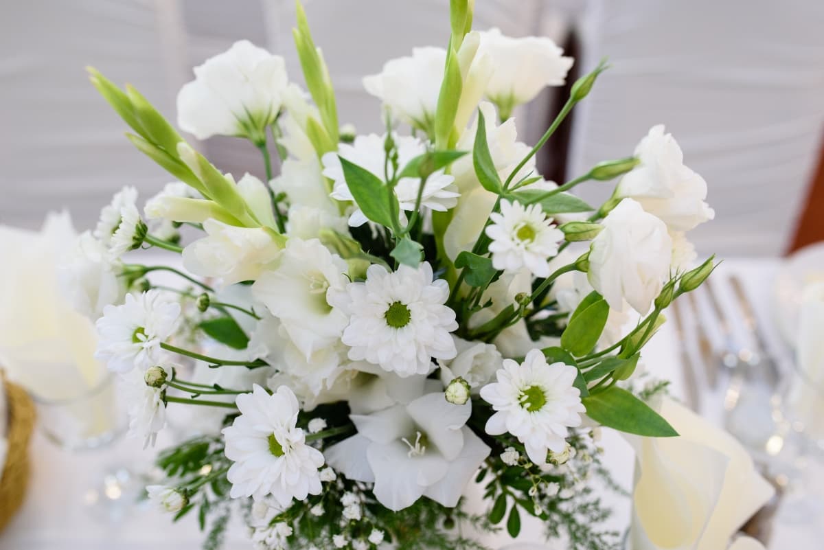 Fotografie de Nelutu Rosu la Hotel President