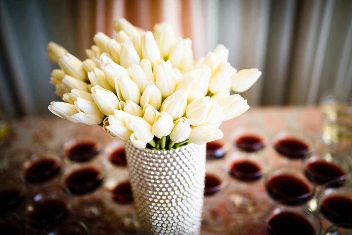 Fotografie de Nelutu Rosu la Salon Premiere