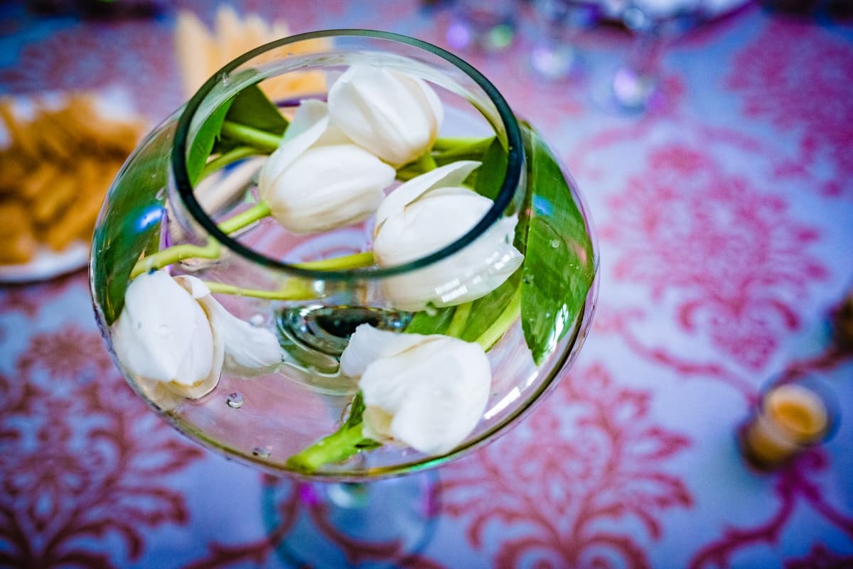 Fotografie de Nelutu Rosu la Salon Premiere