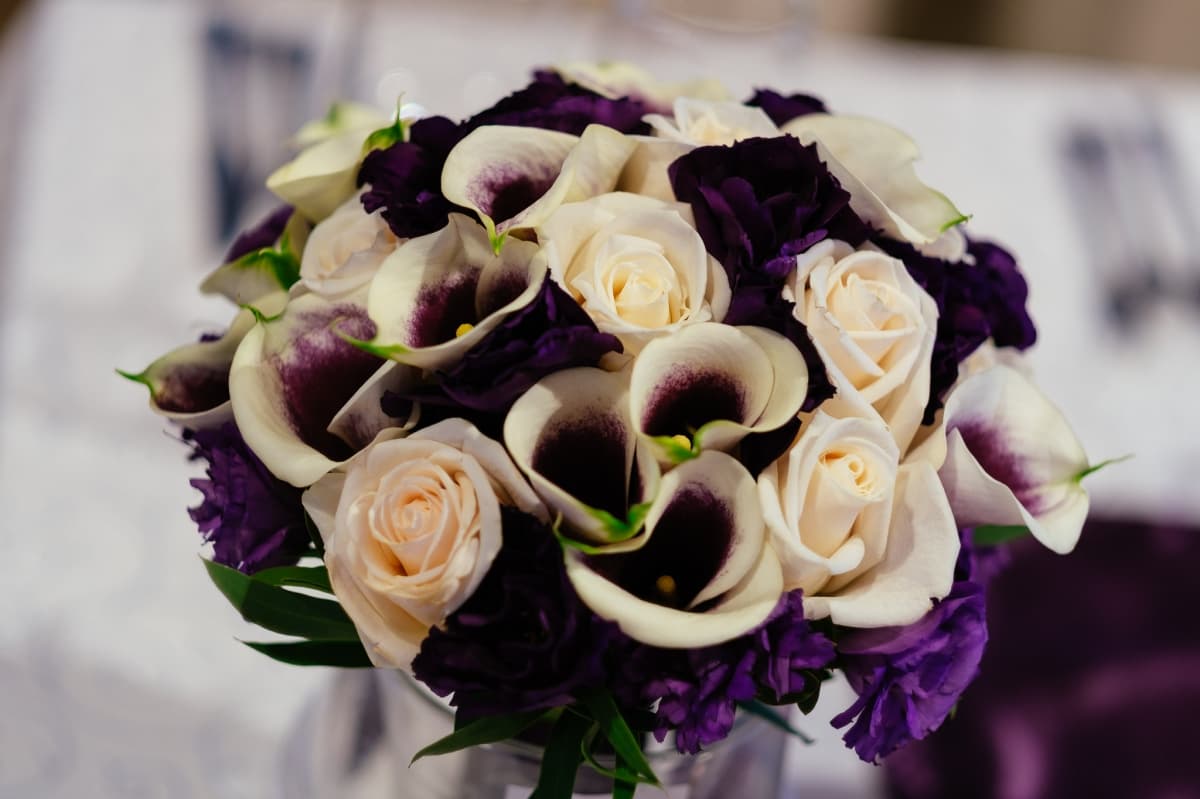 Fotografie de Vision Photography By Geo Dolofan la Gradina Eforie Topoloveni