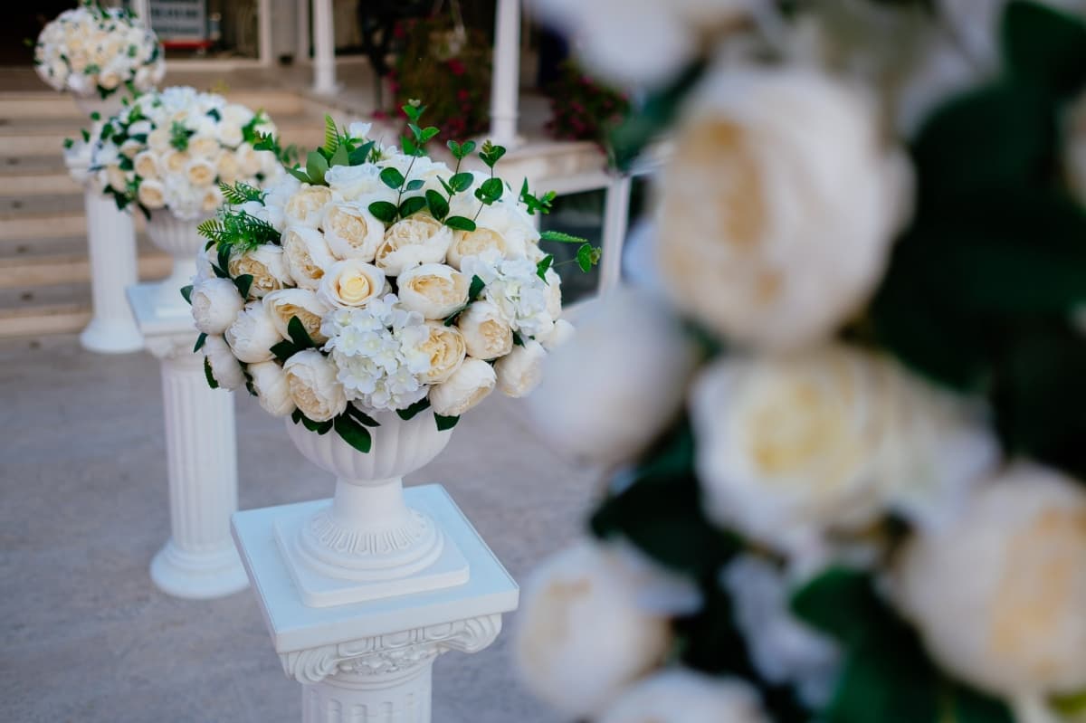 Fotografie de Vision Photography By Geo Dolofan la Gradina Eforie Topoloveni