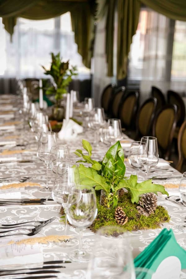 Carul din Stele - locatie pentru nunti in Beharca, Dolj