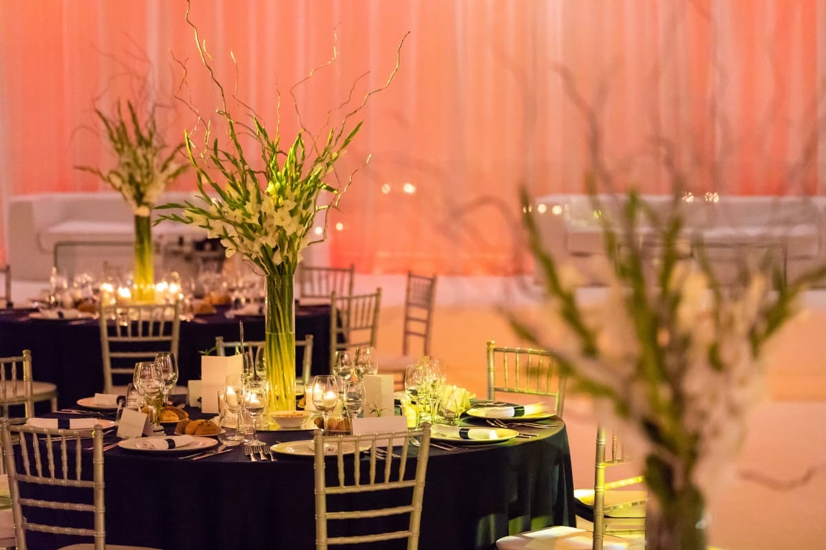 Fotografie de Photogenica la Biavati Events