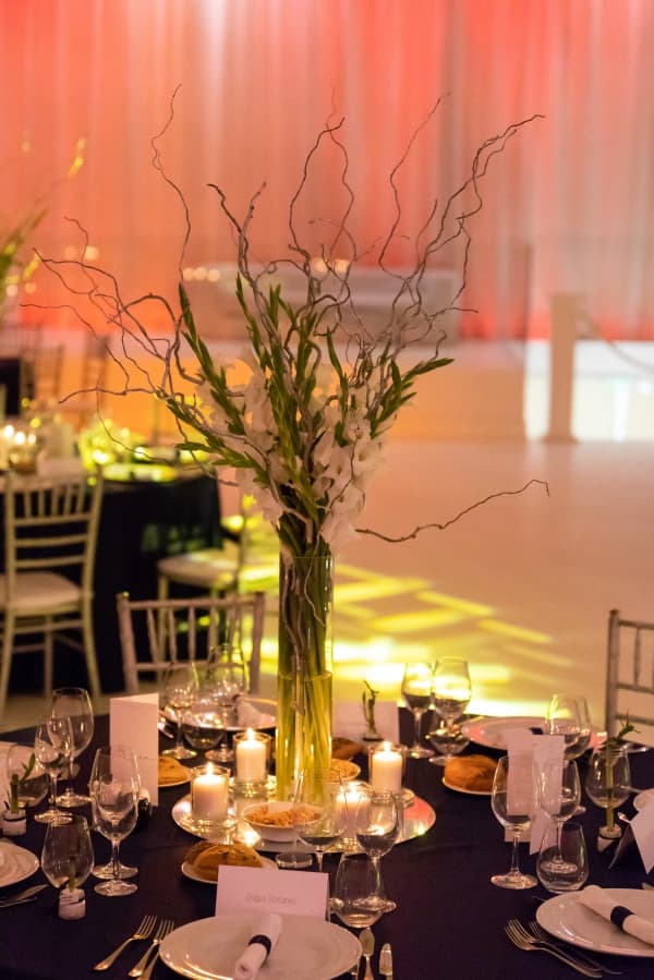 Fotografie de Photogenica la Biavati Events