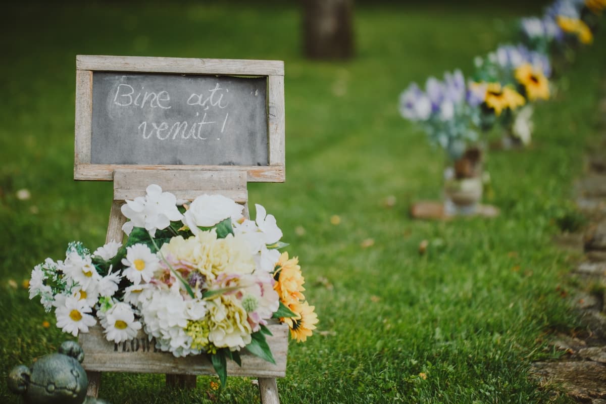 Fotografie de Alex Merfu la Pensiunea Pentru Tine Prietene