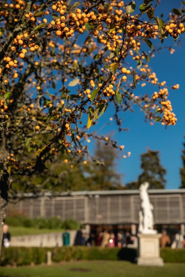 Painshill Events - locatie pentru nunti in Cobham, England