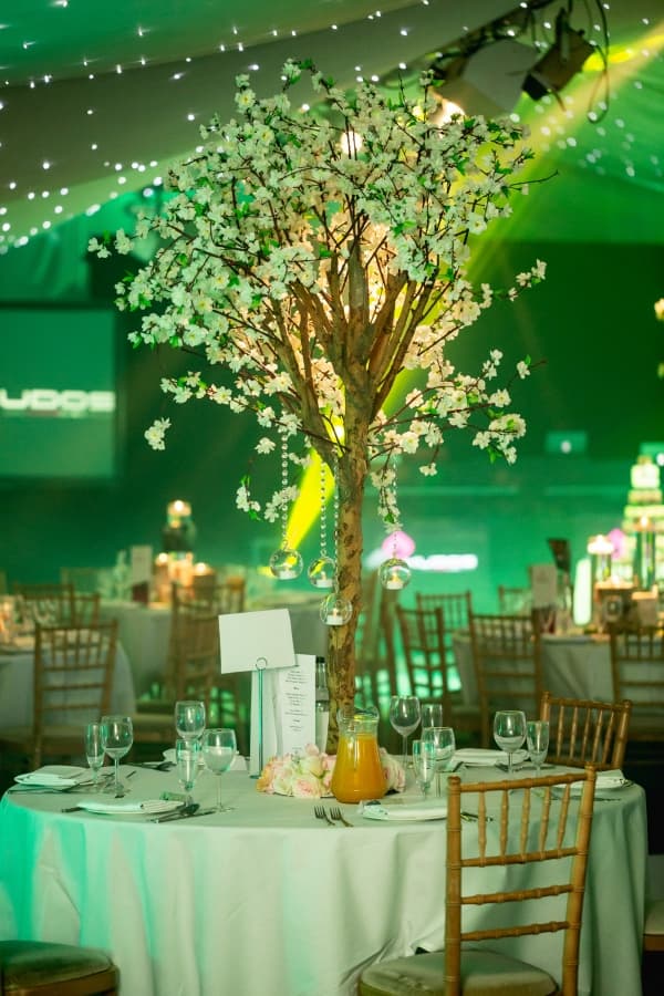 Fotografie de Florin Weddings la Painshill Events