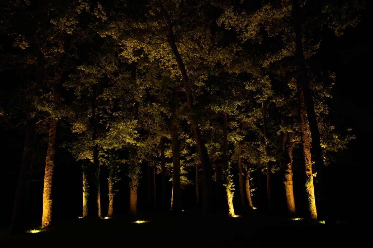 Fotografie de Adi Hadade  la Galla Events