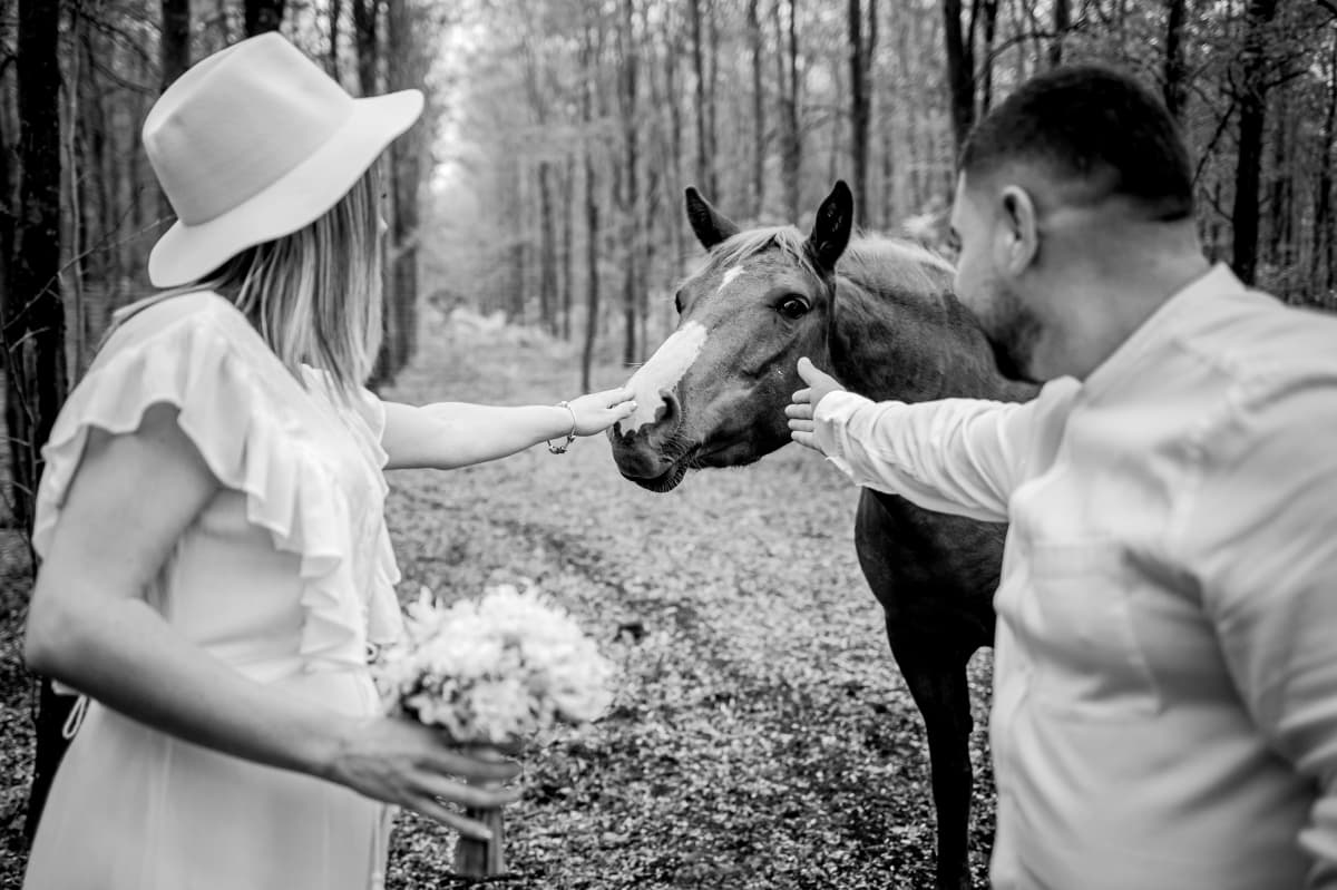 Fotografie de Costin Tertess la Complex de vanatoare Diana de Callatis