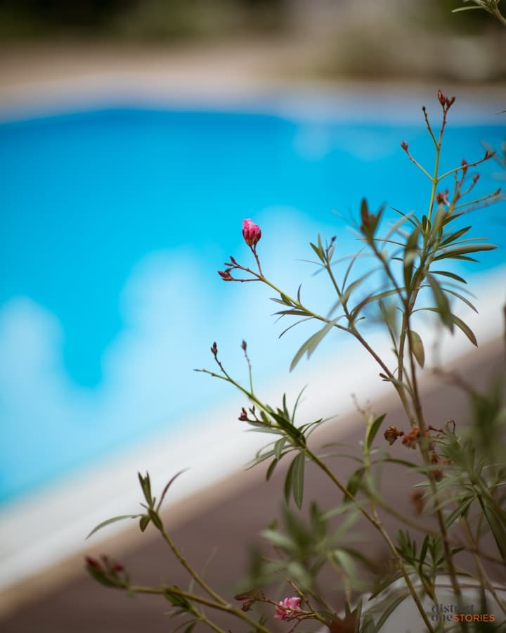 Fotografie de District One Stories la Antique Pool &amp; Restaurant