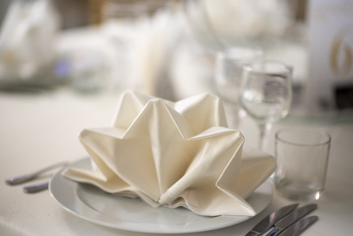 Fotografie de InFocus Craiova la Curtea Regala