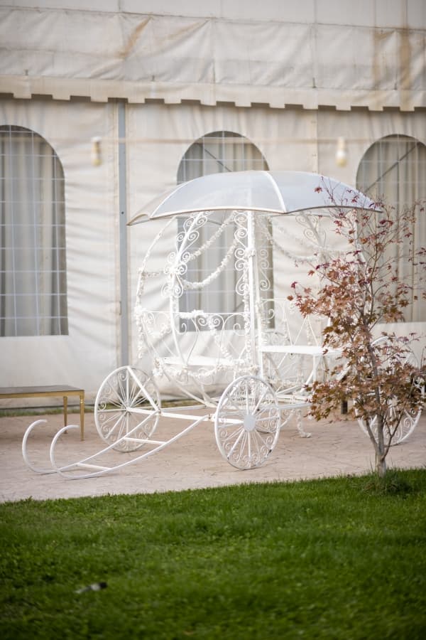 Fotografie de InFocus Craiova la Curtea Regala