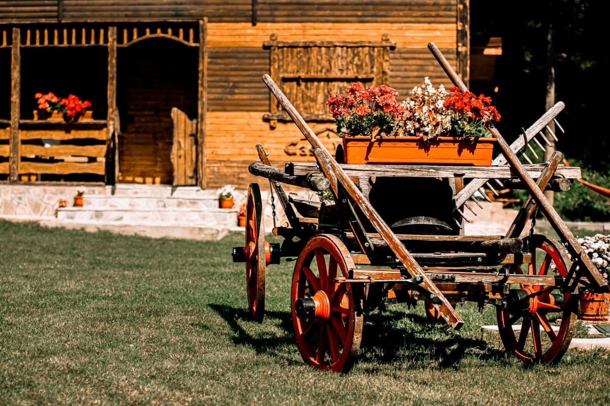 Fotografie de Romeo Mihail Photography la Hanul Leaota 