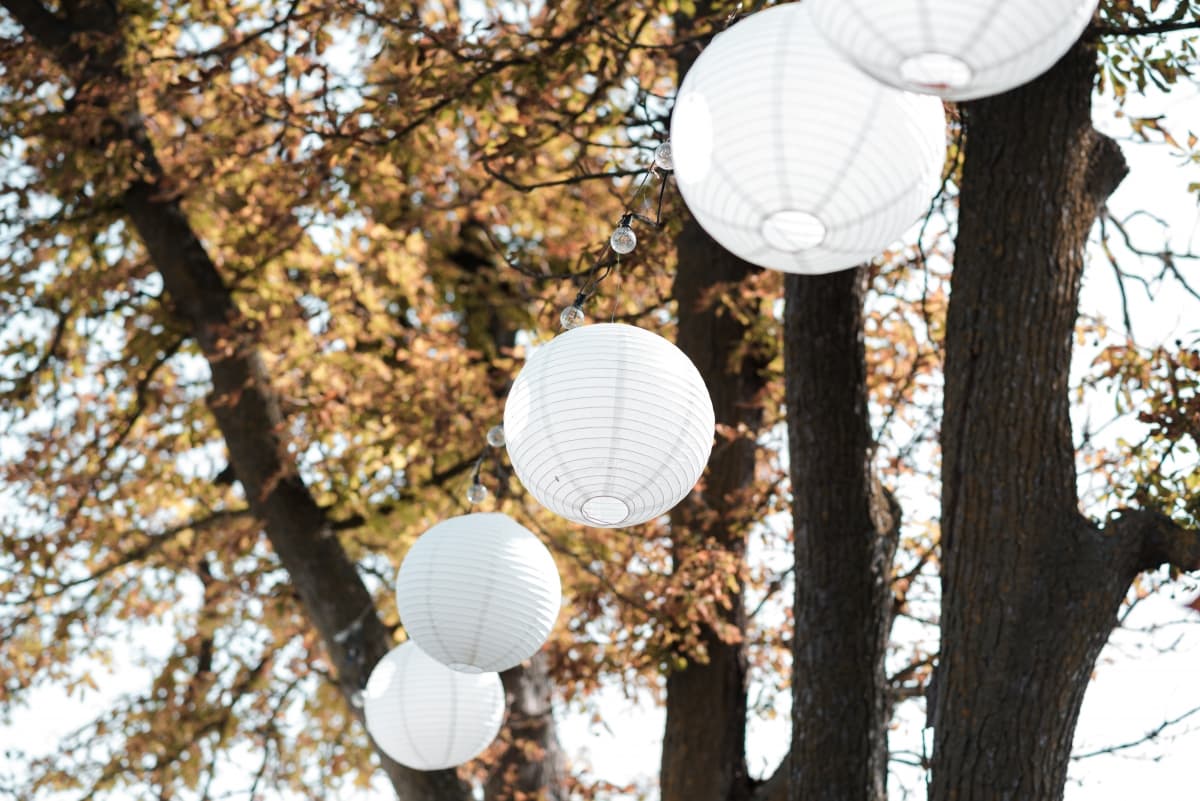 Petry Estate Winery - locatie pentru nunti in Călimănești, Mureș