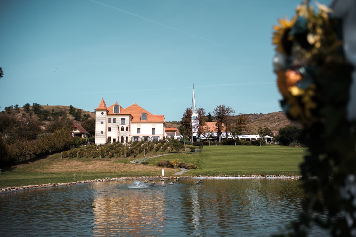 Fotografie de  Flavia Moldovan fotograf la Petry Estate Winery