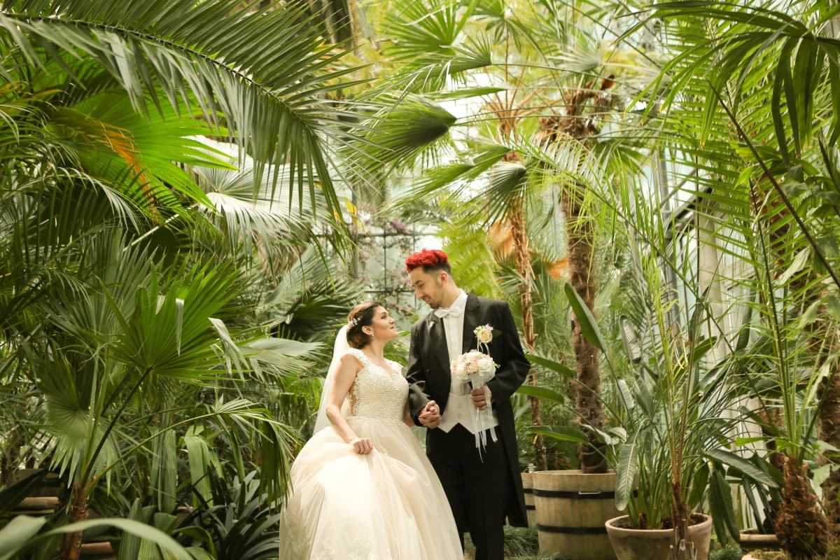 Fotografie de Kelemen Zoltan (Wedding Joy) la Gradina Botanica