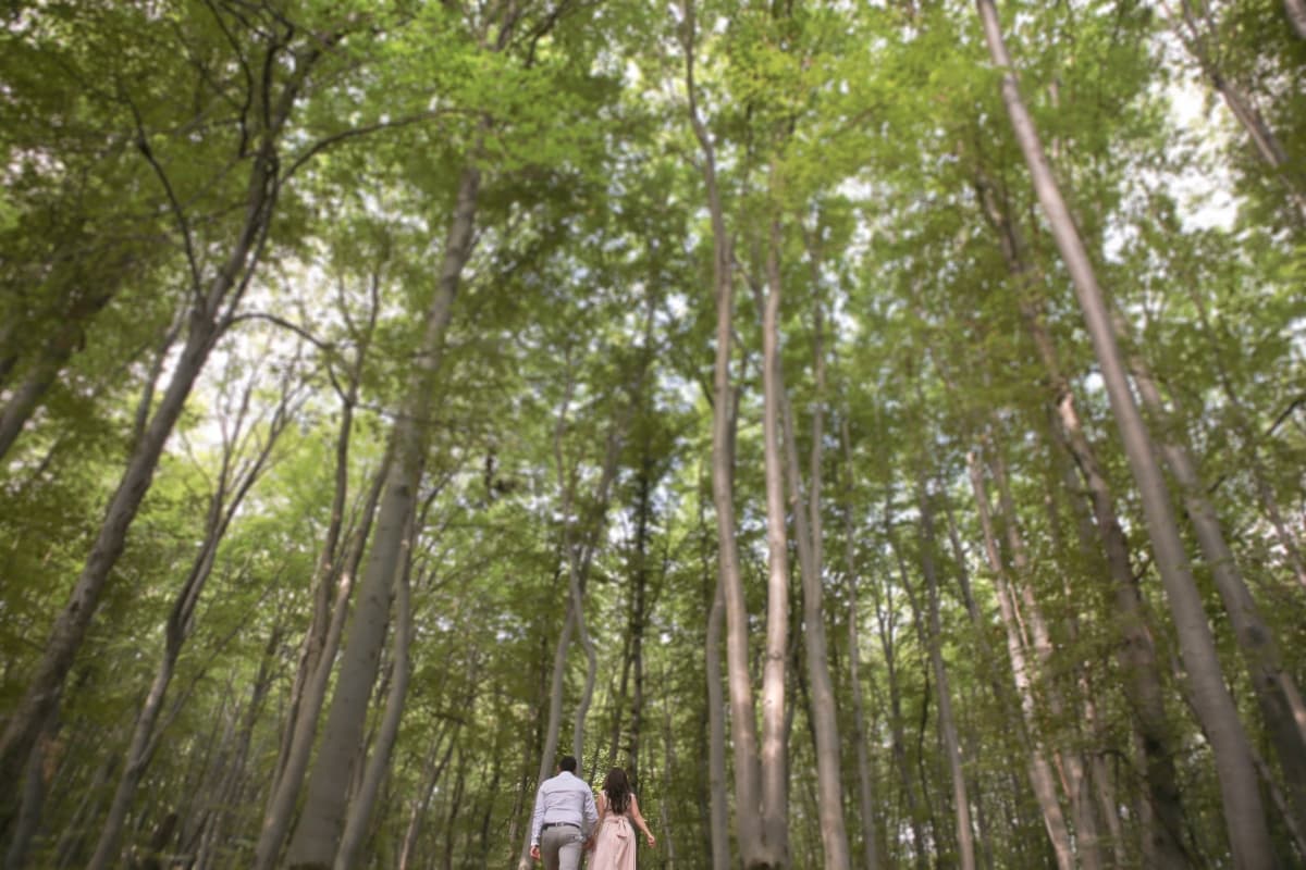 Padurea Faget - locatie pentru nunti in Cluj-Napoca, Cluj