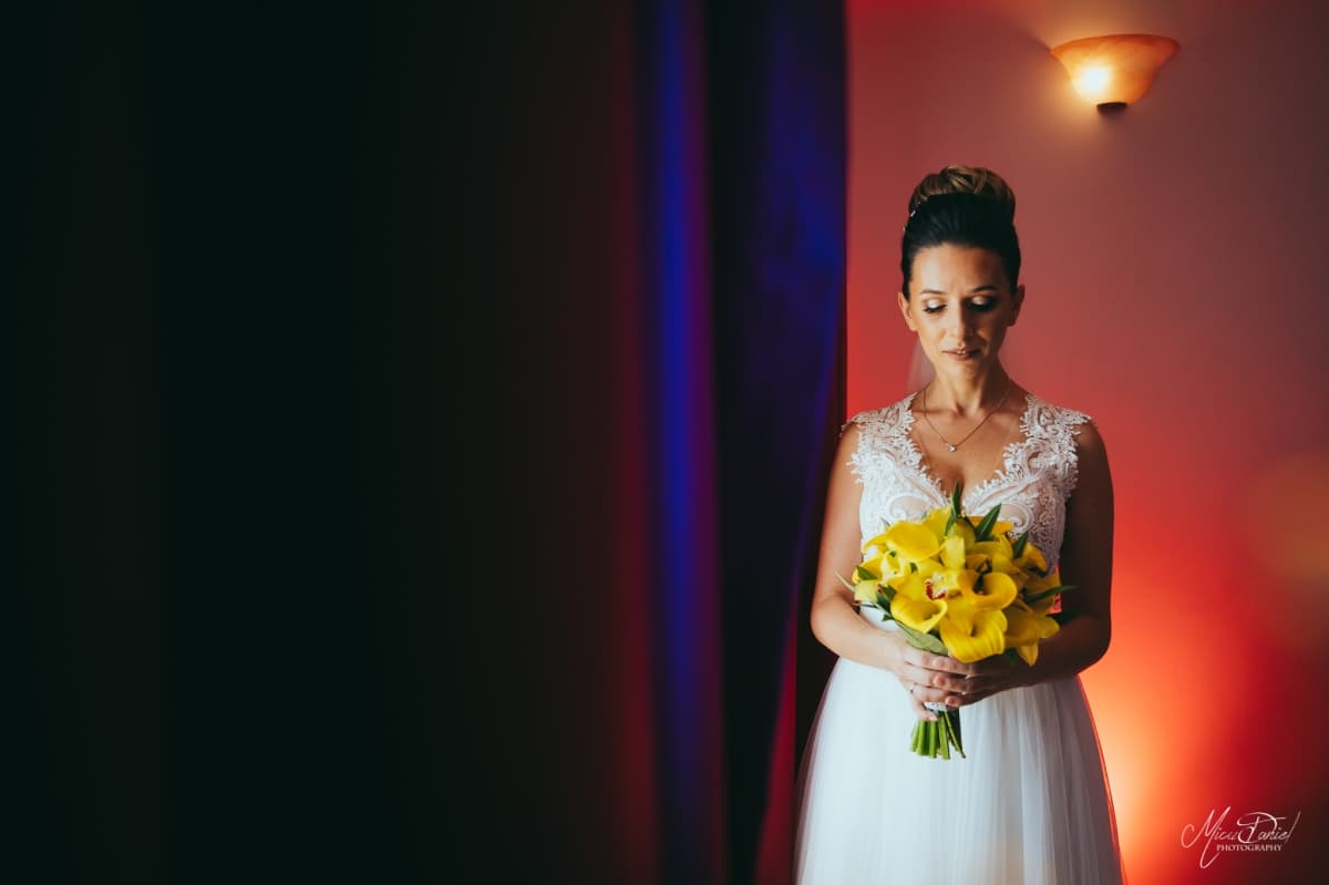 Steaua Apelor - locatie pentru nunti in Nufăru, Tulcea