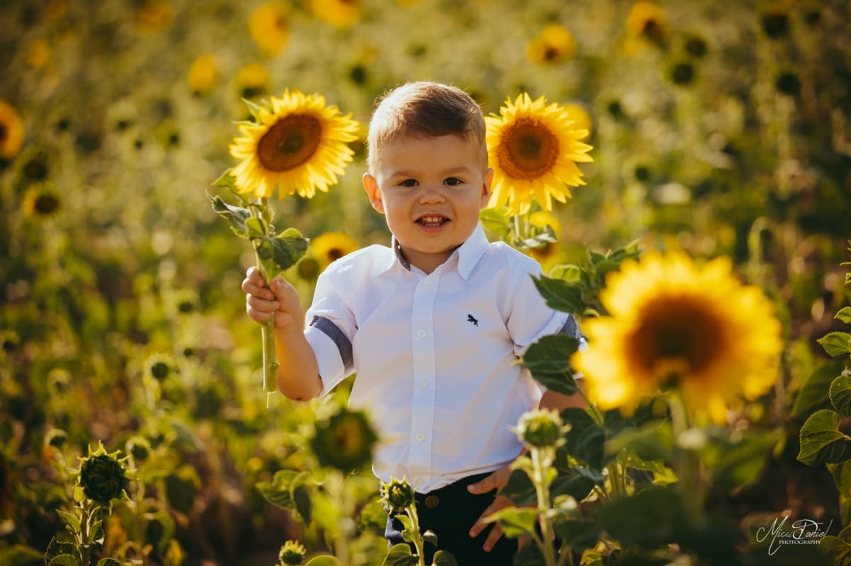 Enisala - locatie pentru nunti in Enisala, Tulcea