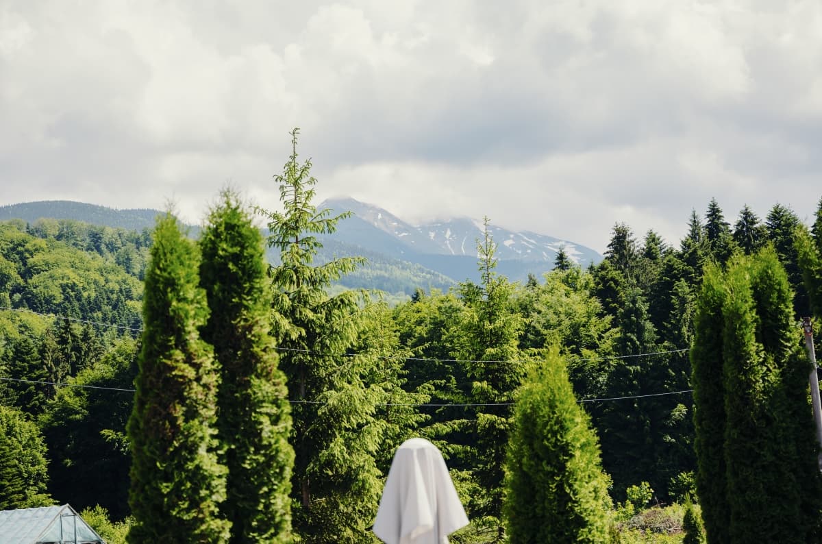 Fotografie de Bohemian Weddings  la Pensiunea Miruna