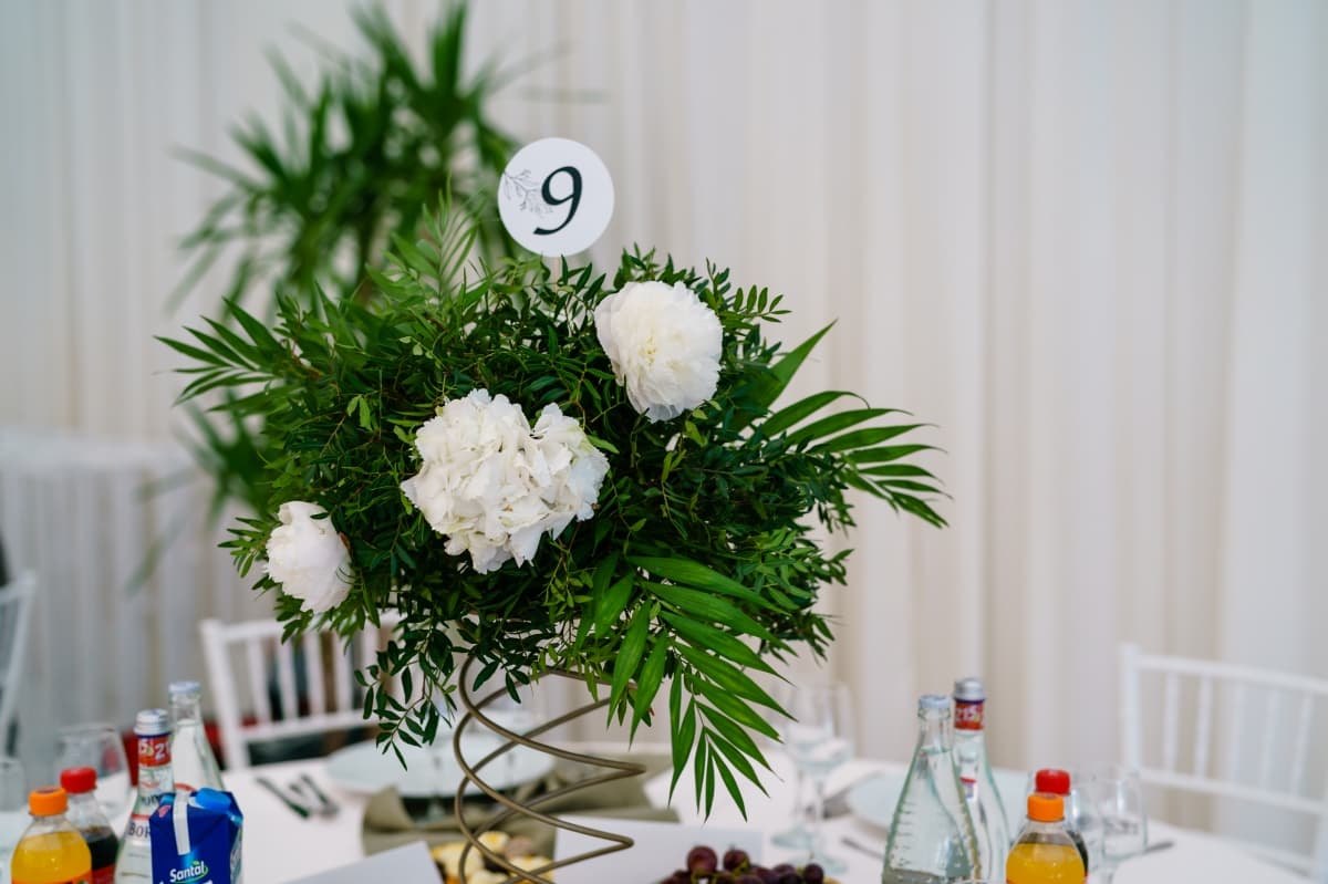 Fotografie de Aurelian Sandu la Dream Ballroom