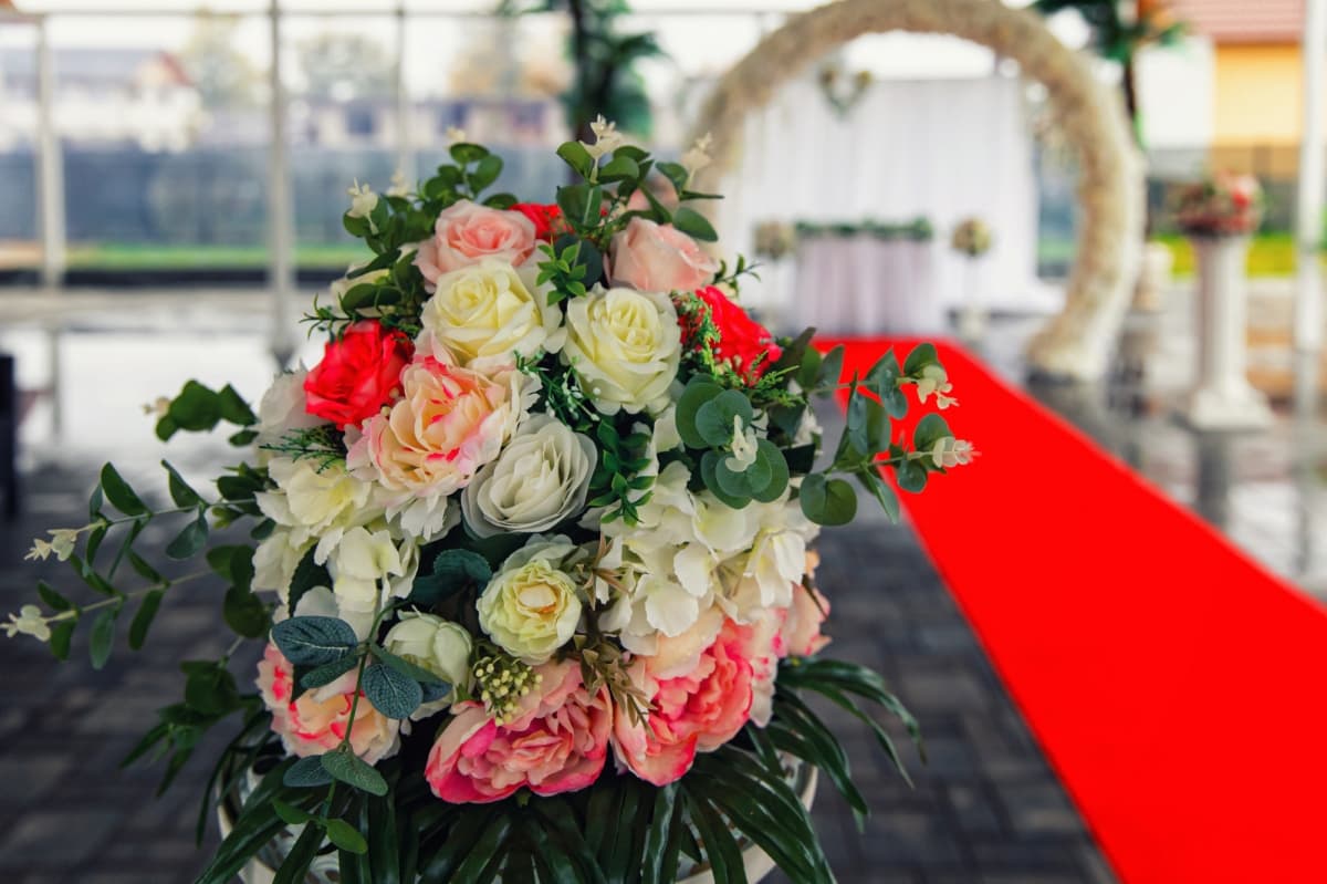 Fotografie de Janyn Foto-Video la Pensiunea Elena Tismana