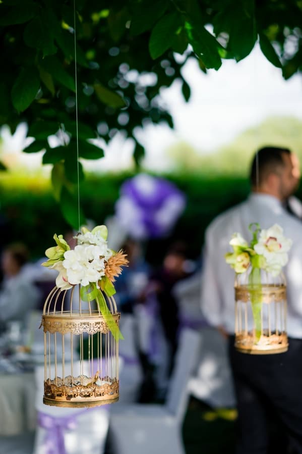 Fotografie de Alpar Lukacsi  la Castel Haller