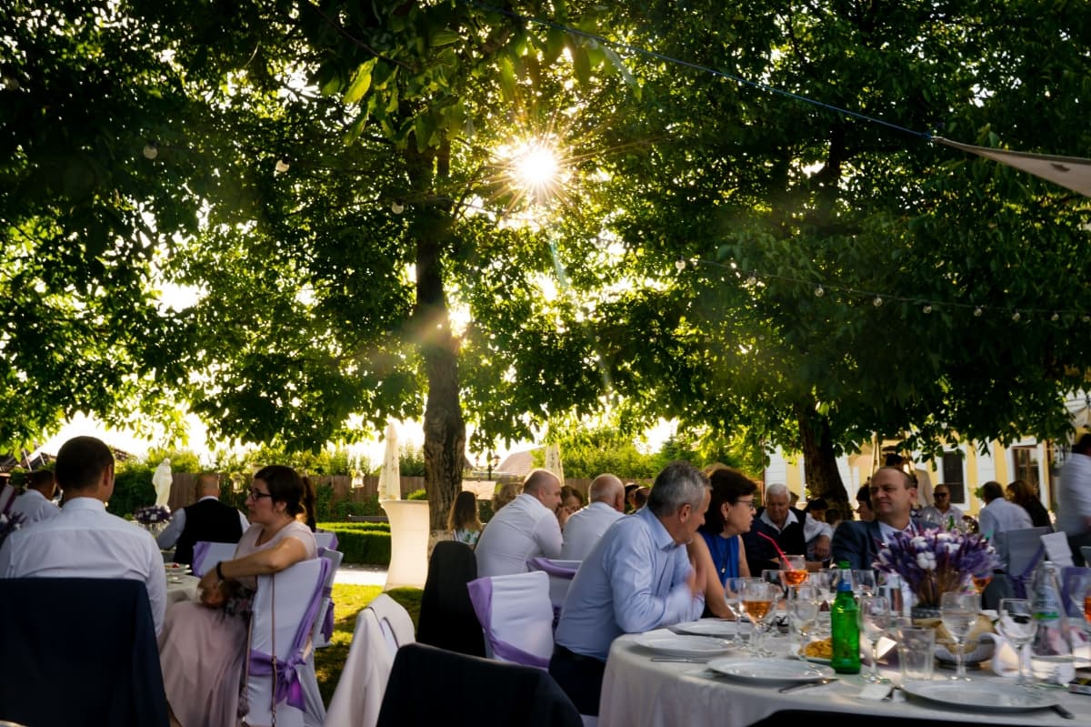 Fotografie de Alpar Lukacsi  la Castel Haller