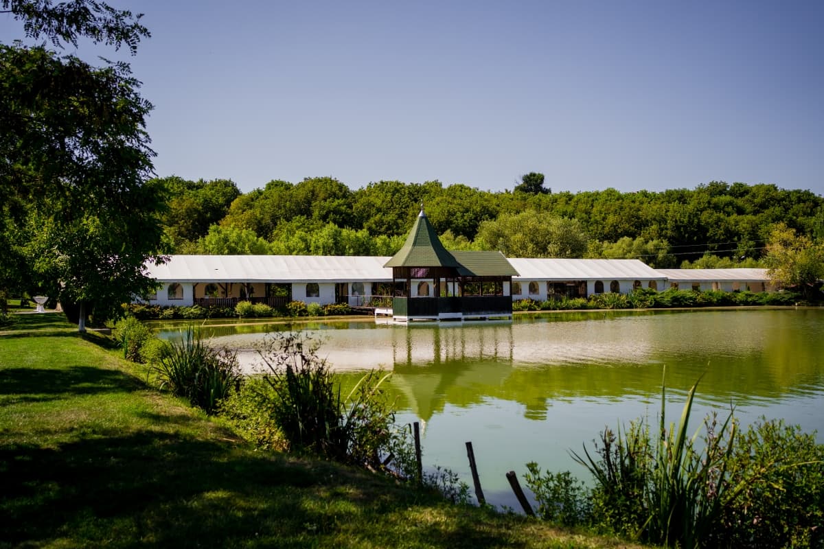 Fotografie de Alpar Lukacsi  la Cortul Ana