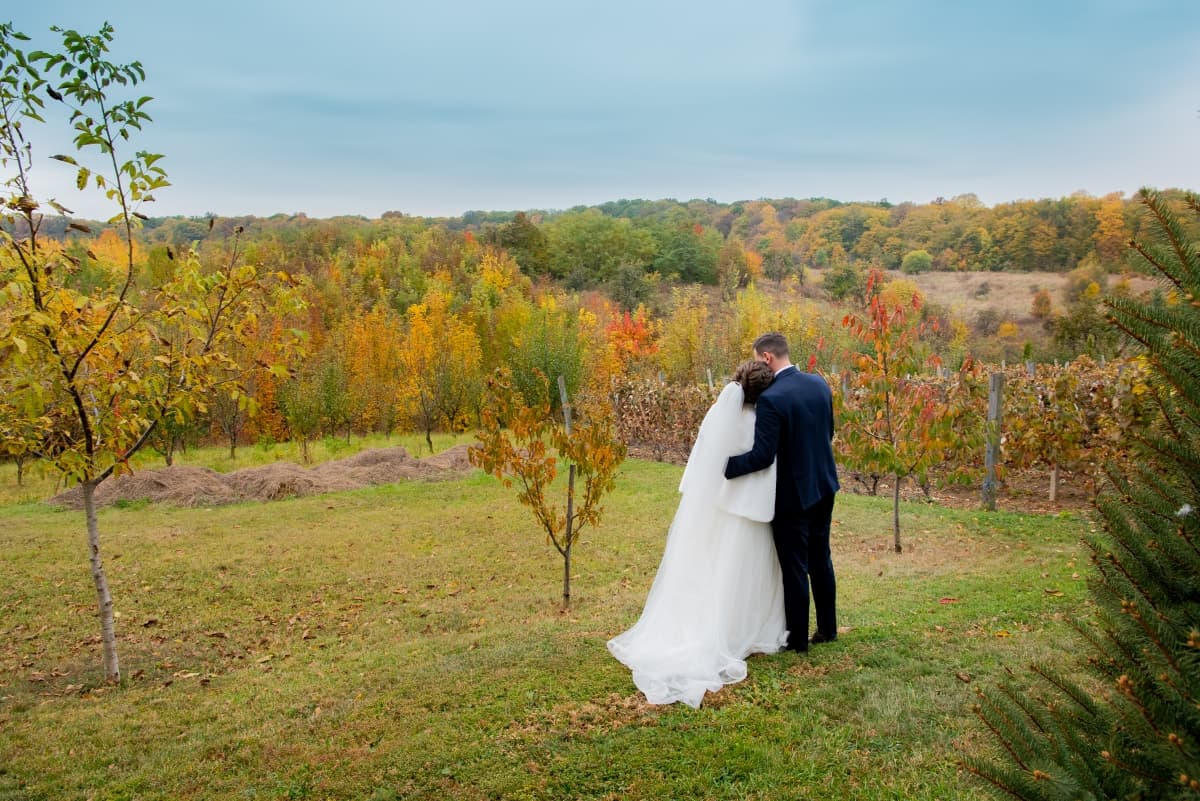 Fotografie de ArtaFilmării la Casa Jorovlea