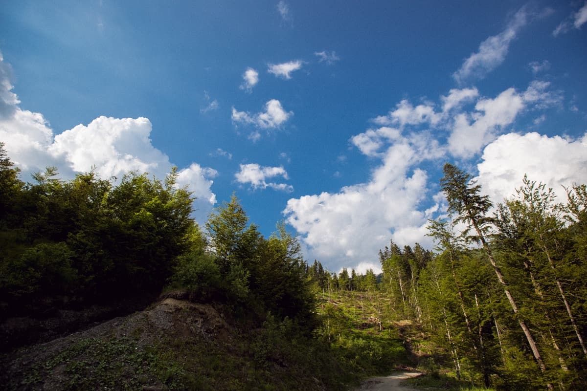 Muntele Mic - locatie pentru nunti in Caraș-Severin