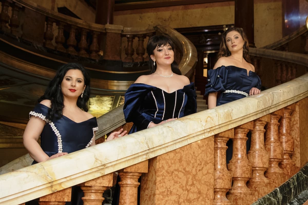 Fotografie de M Dima Foto Studio la Casa Vernescu