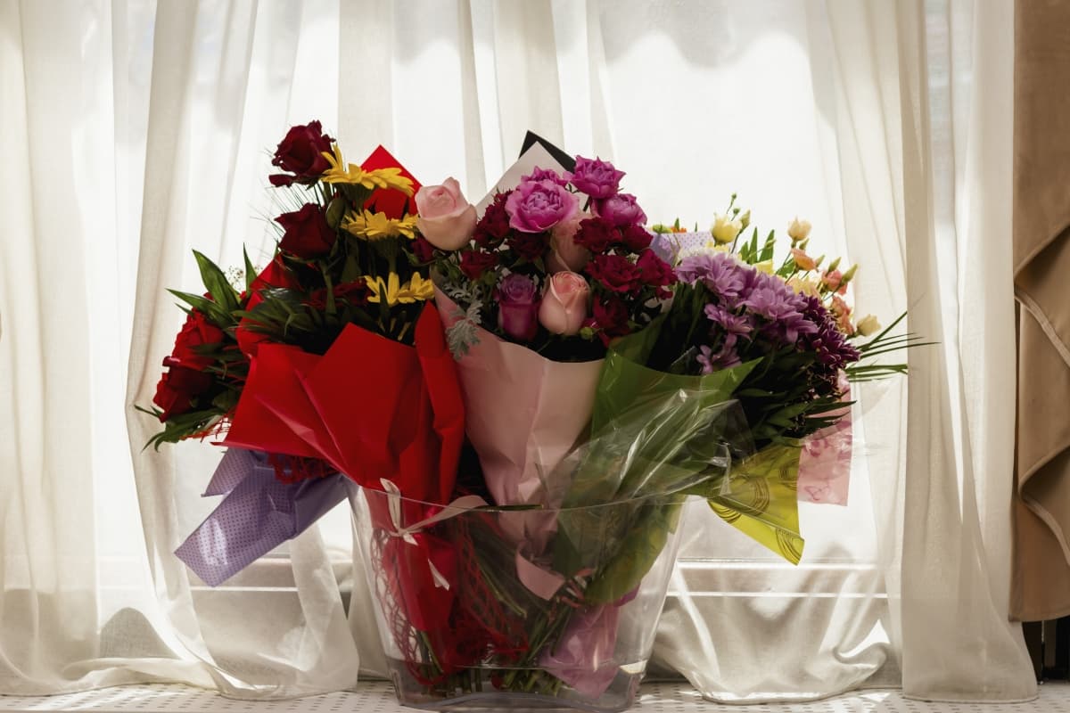 Fotografie de M Dima Foto Studio la Le Blanc