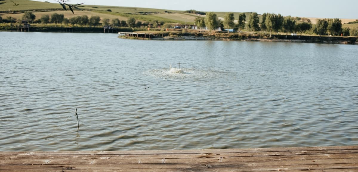 Fotografie de Rareș Mihai la Iaz Cabanutele Pescarilor