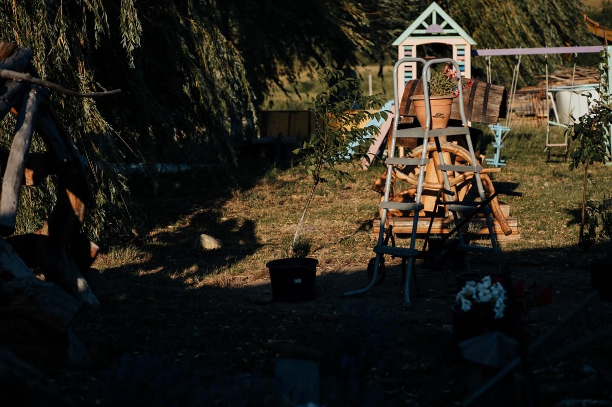 Fotografie de Rareș Mihai la Iaz Cabanutele Pescarilor